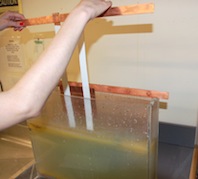 Placing the plate into the tank