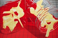 Detail of print entitled Bone Jarring, by Kate Conlon