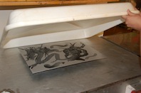 Century plate